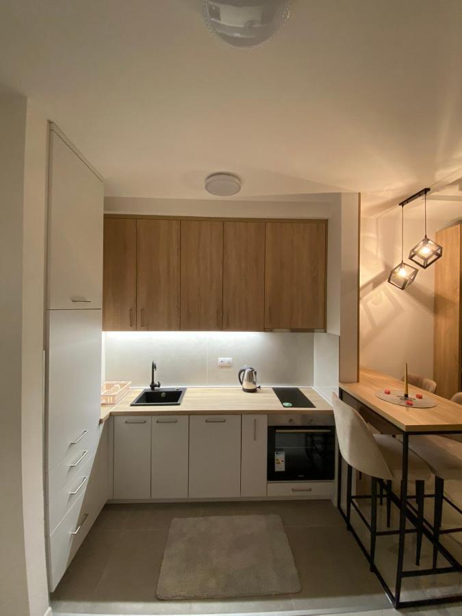 Apartman Cristal Lux トレビニエ エクステリア 写真